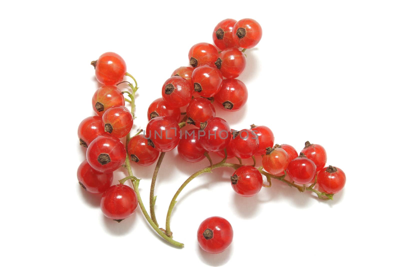 Three clusters of red currant and a single berry isolated on white background