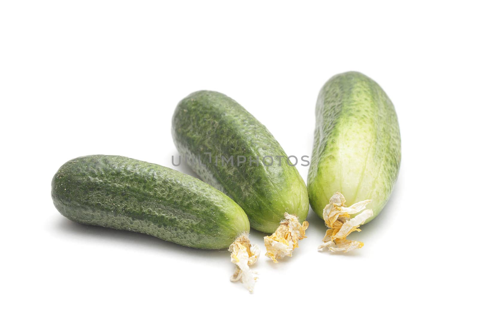 Three ripe cucumbers isolated on white background