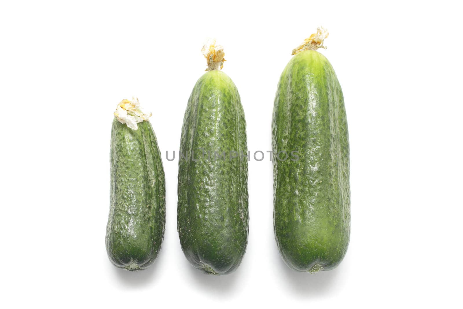 Three ripe cucumbers isolated on white background