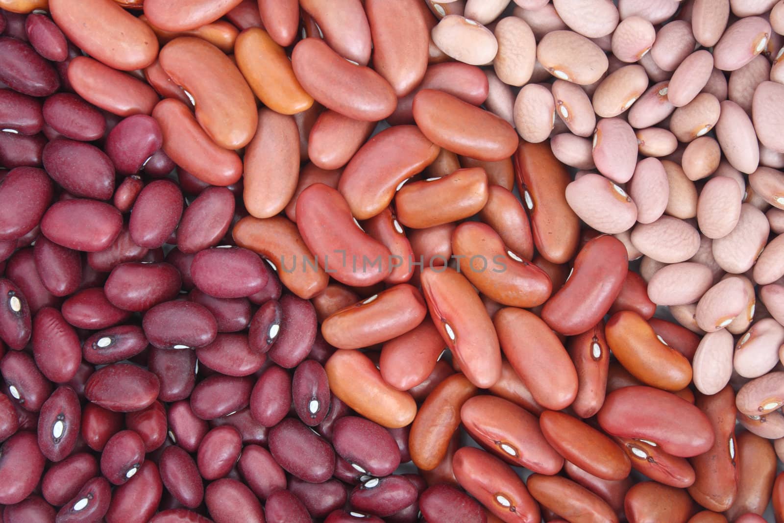 Beans by pulen