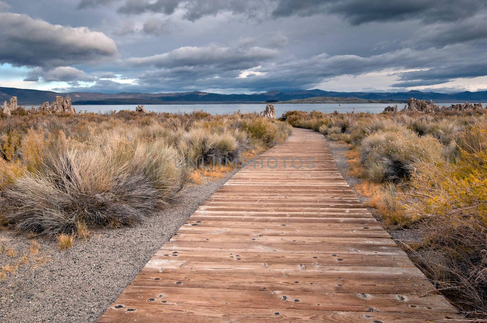 An autumn morning at Mono Lake