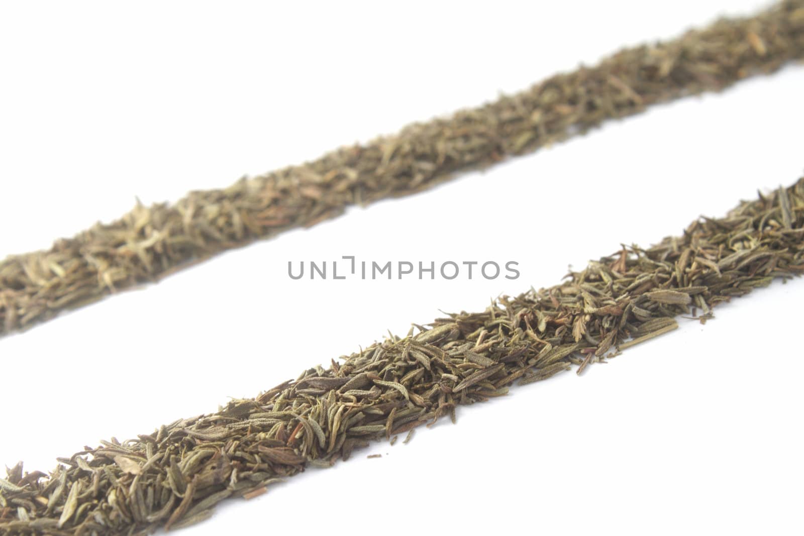 Two paralell lines of thyme isolated on white background