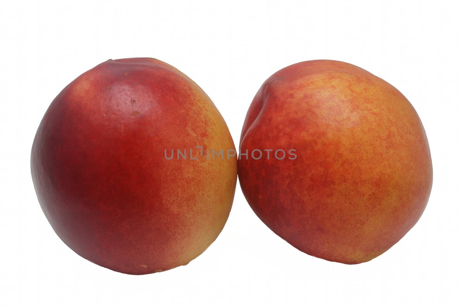 Two nectarines on white background by pulen