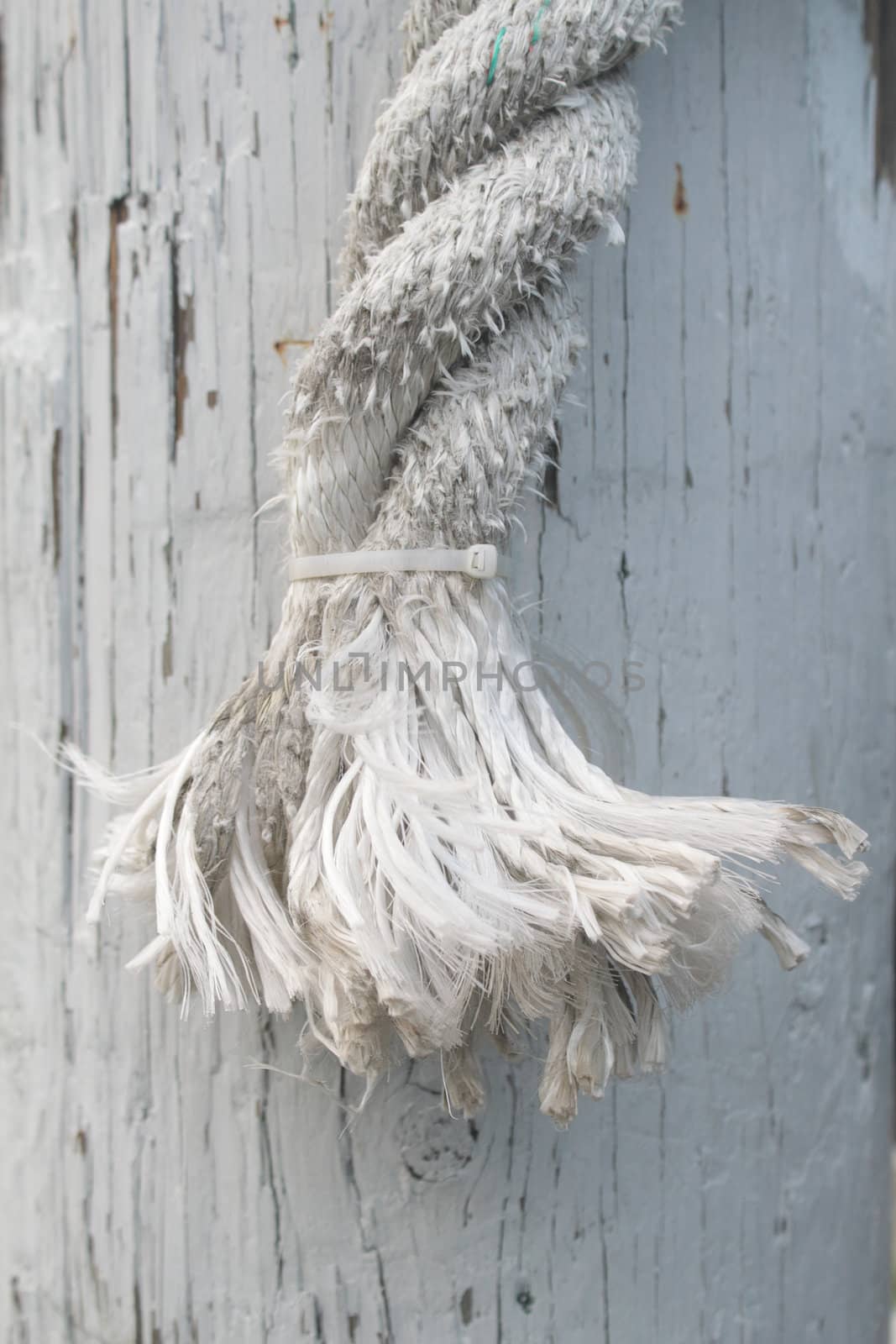White rope on white old wooden background