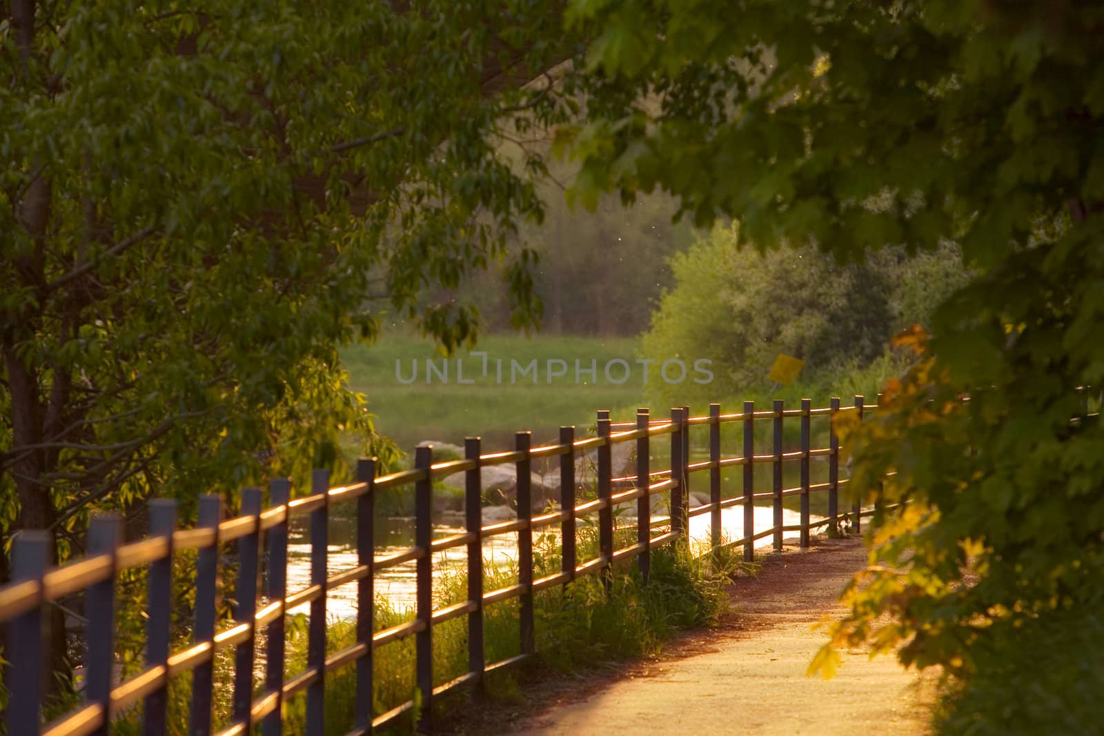 River in a park