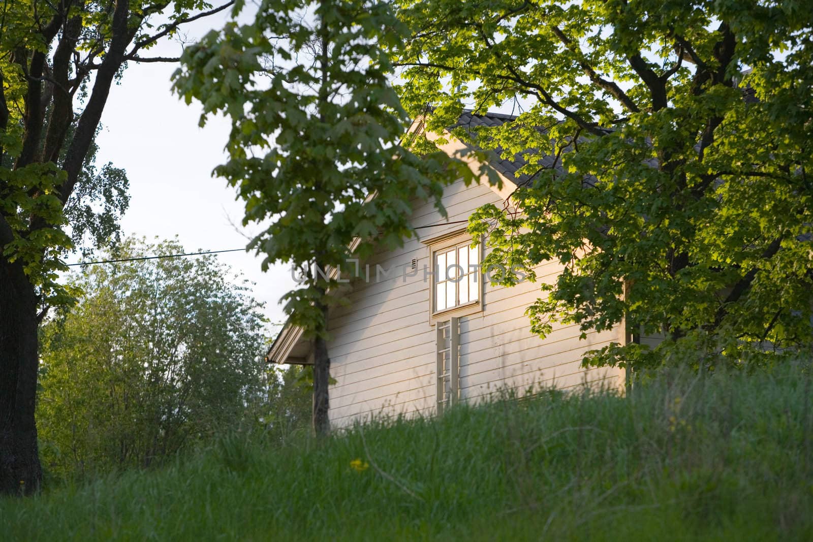Lonely wooden house surrounded by a wild garden