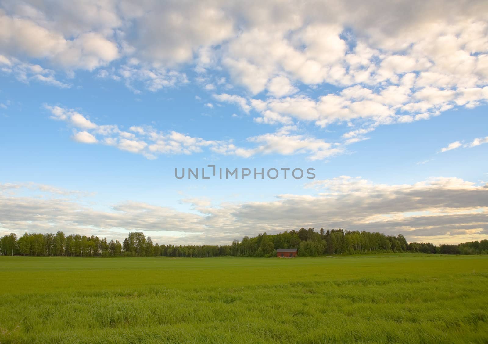 Rural Landscape by Luminis