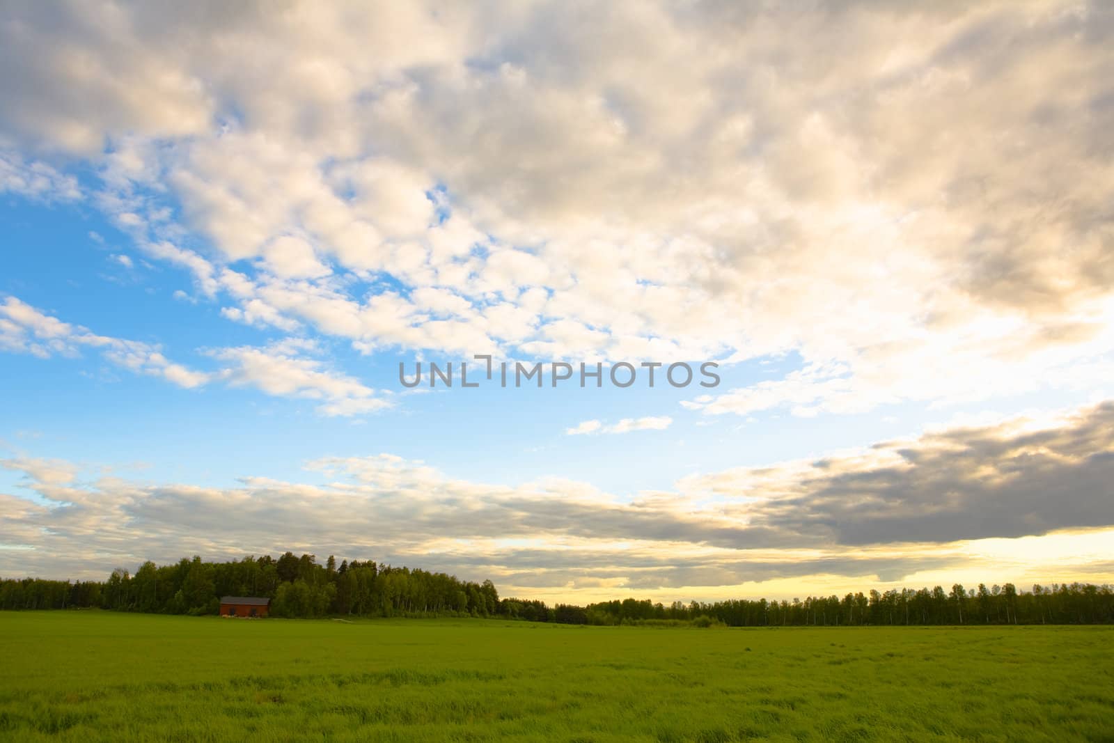 Rural Landscape by Luminis