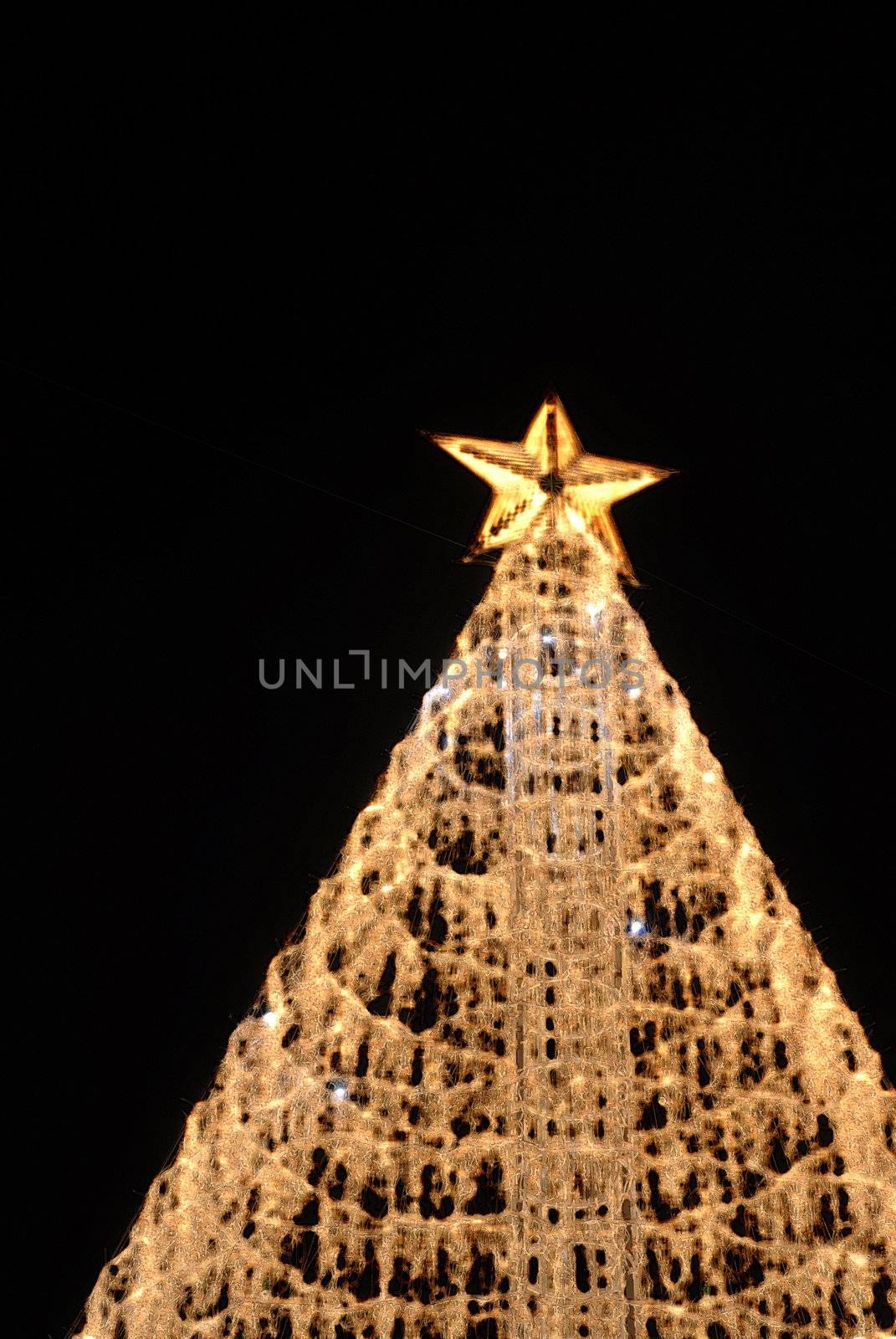 christmas tree lights in the dark night