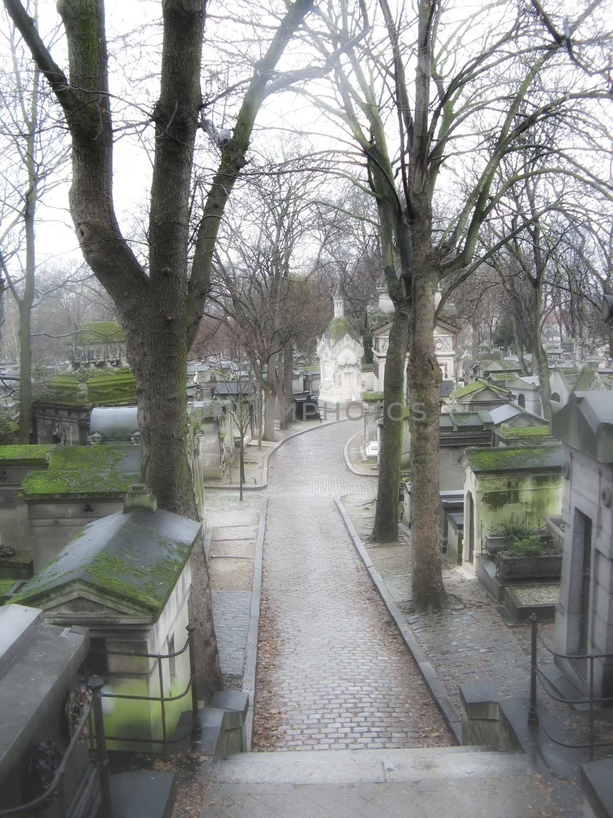 Cemetery alley by jbouzou