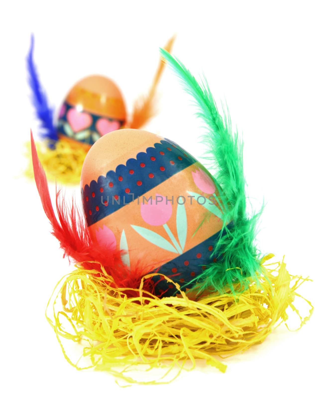 Easter egg race. Wings made of color feathers. Isolated on white.