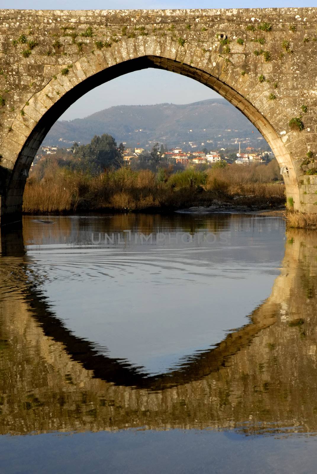 bridge by zittto
