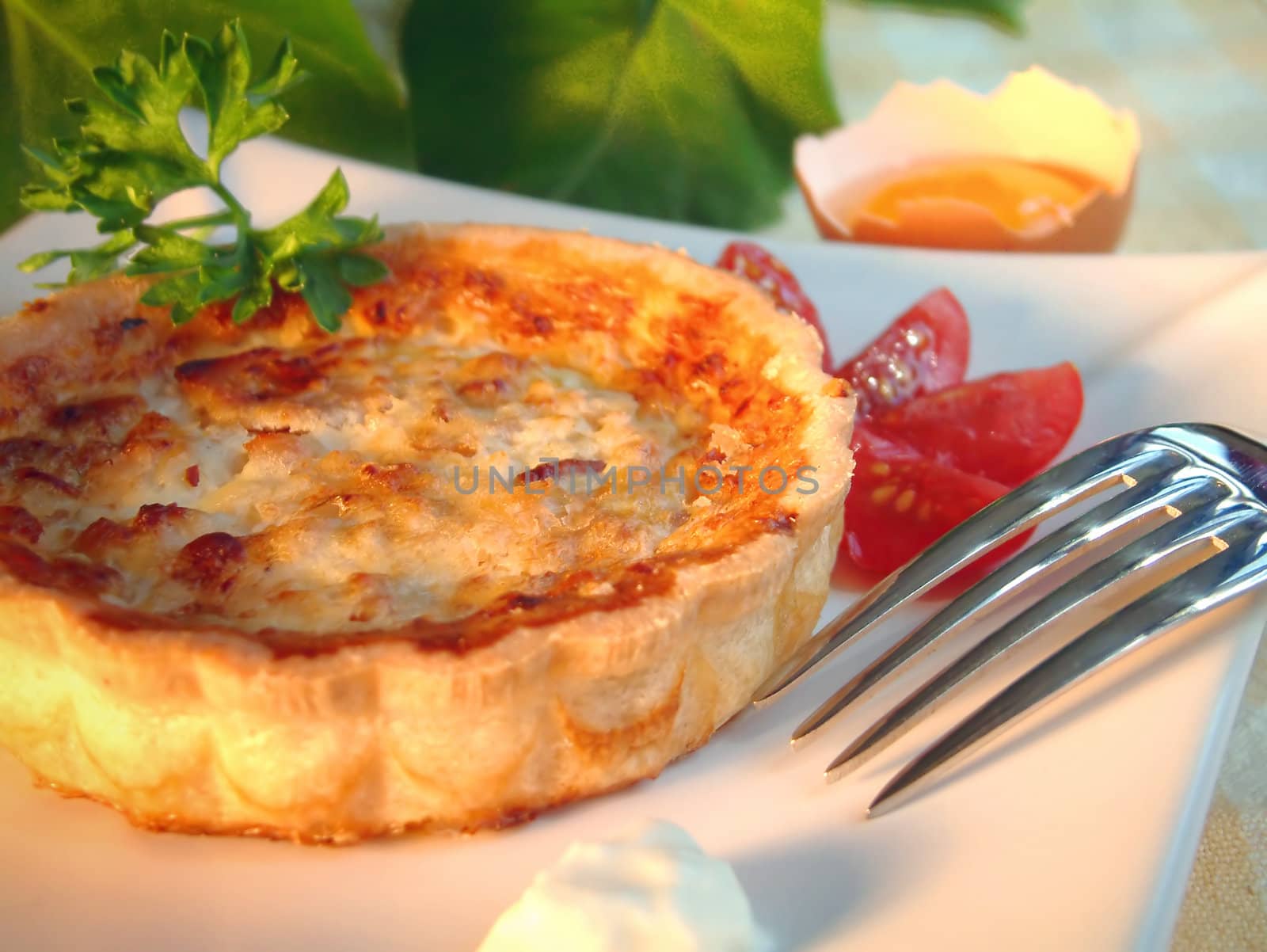 Tasty quiche in a plate