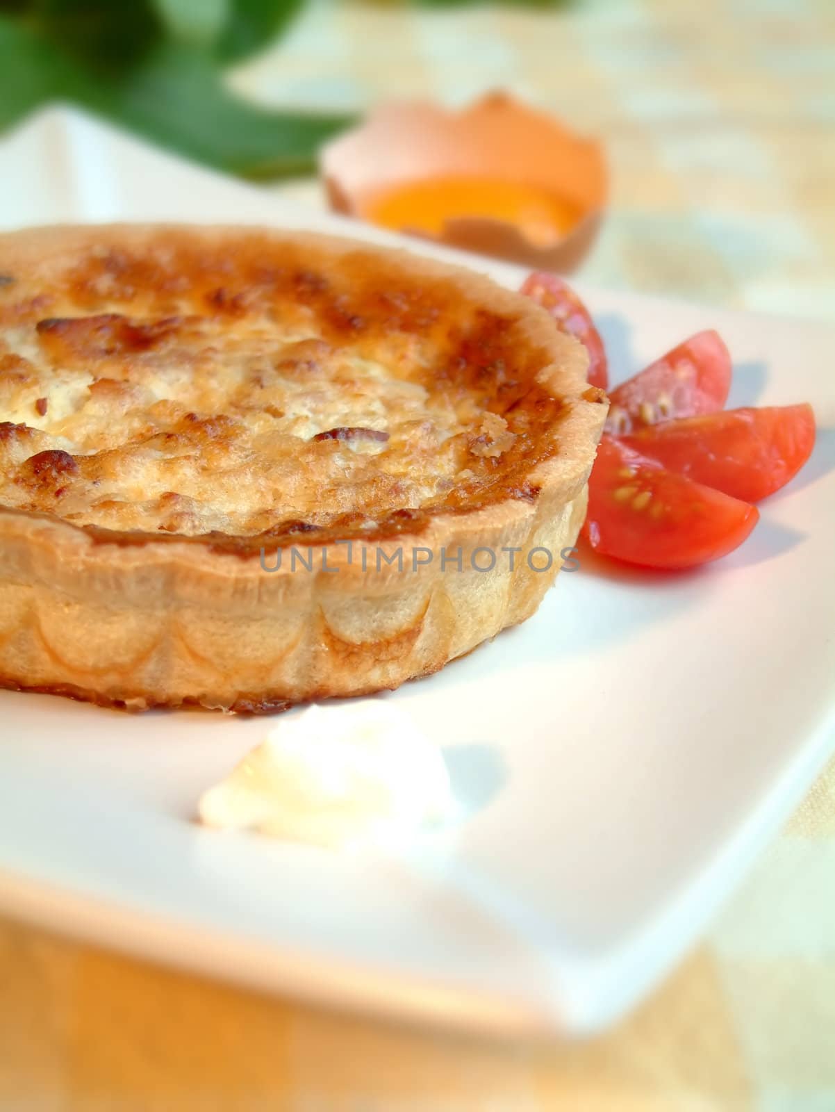 Tasty quiche in a plate