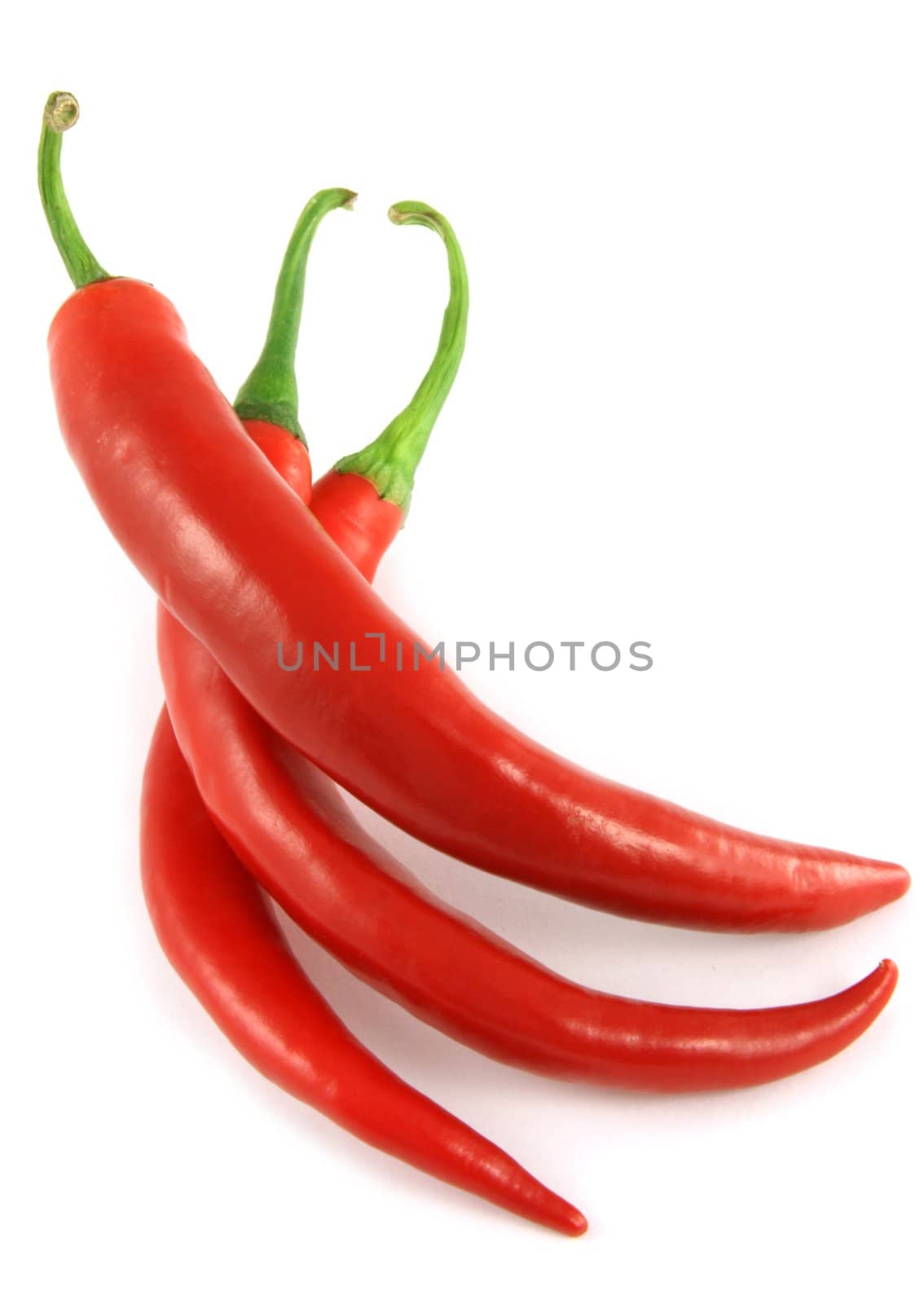 Red hot chili peppers isolated on white