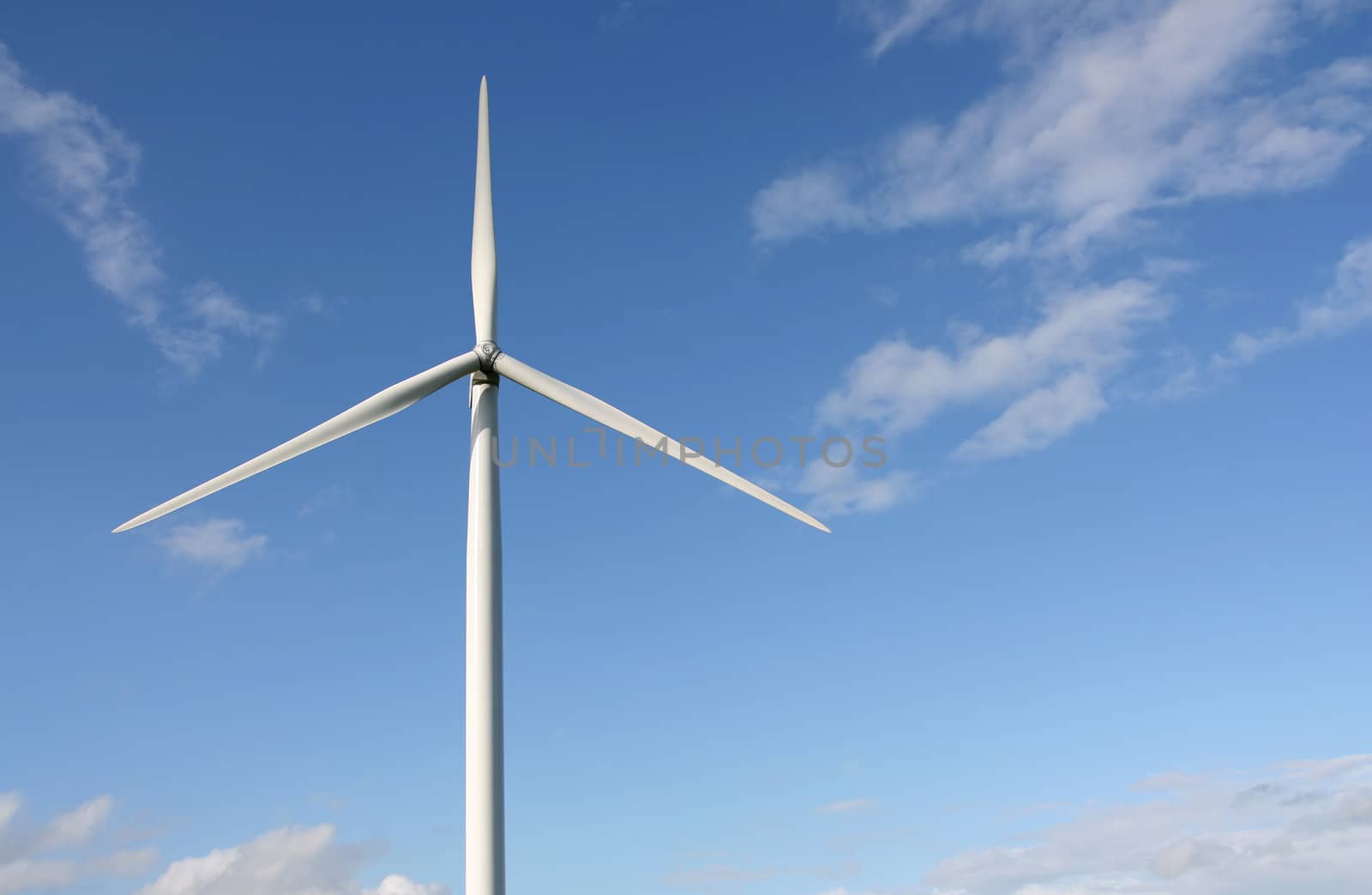 Wind turbines in a field, in summer, over a blue sky.