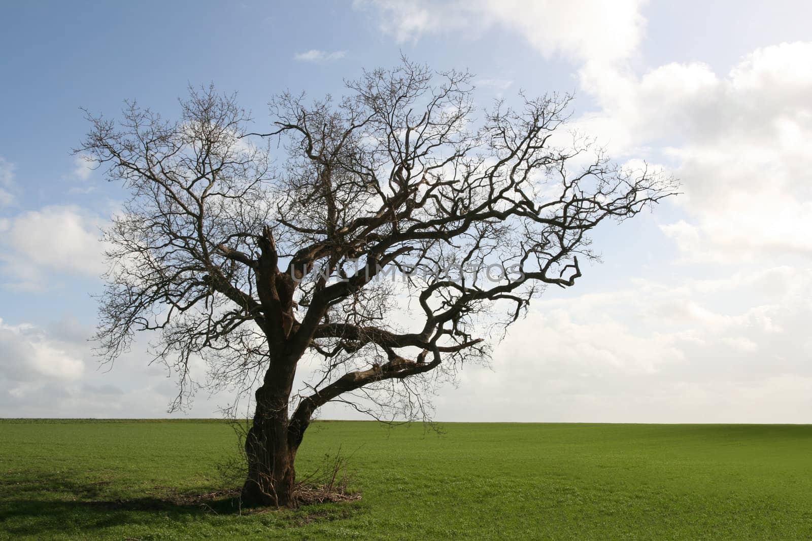 Isolated in the countryside