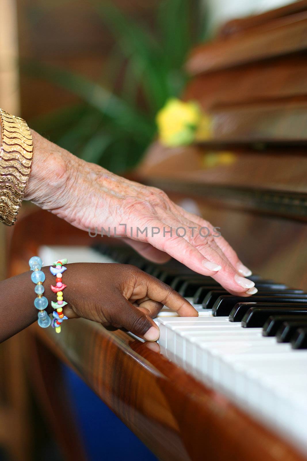 One older white hand and one younger black hand playing the piano