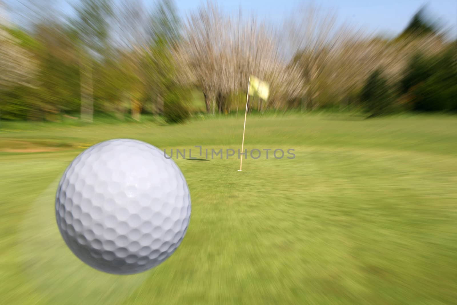 Golf ball flying to the cup. Zooming to the hole.