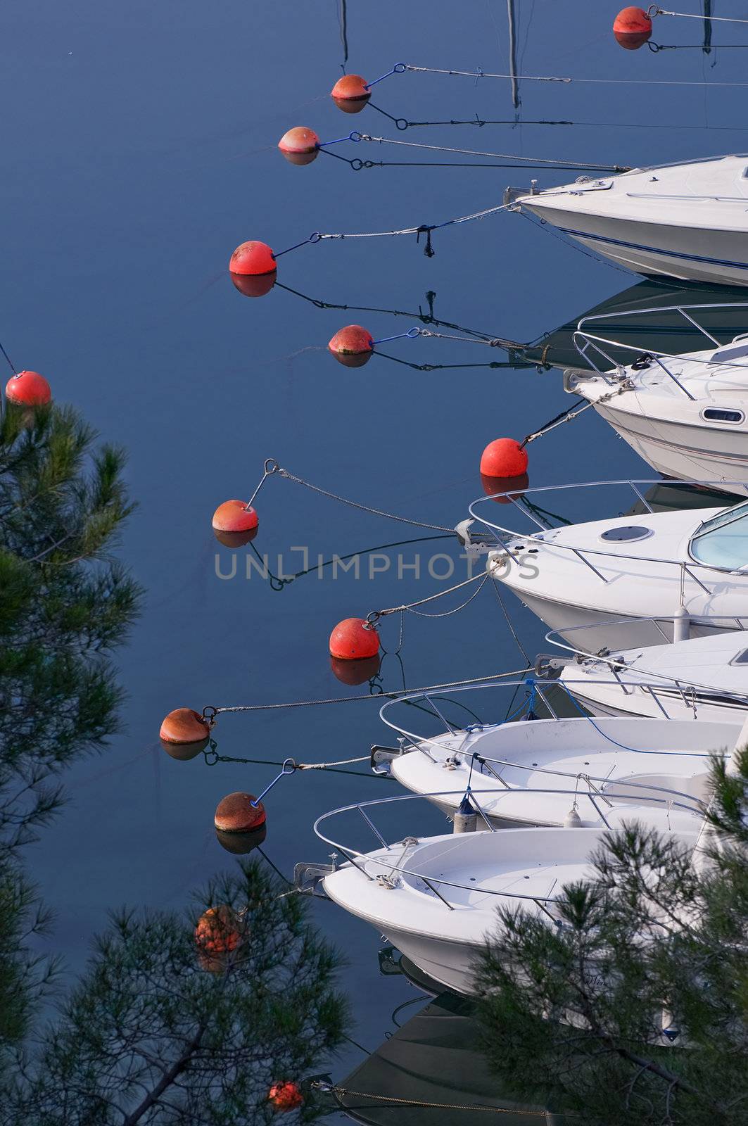 View on a marina with moored motorboats bows