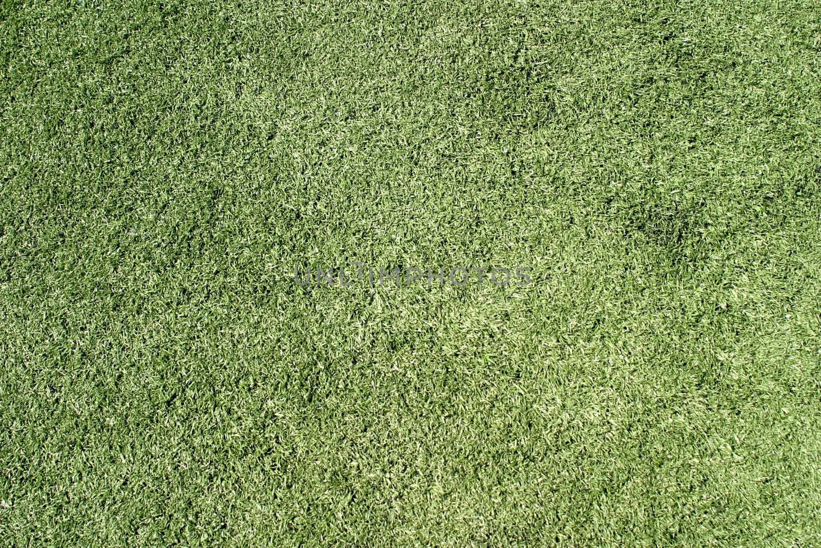 Green lawn on a sports field for football
