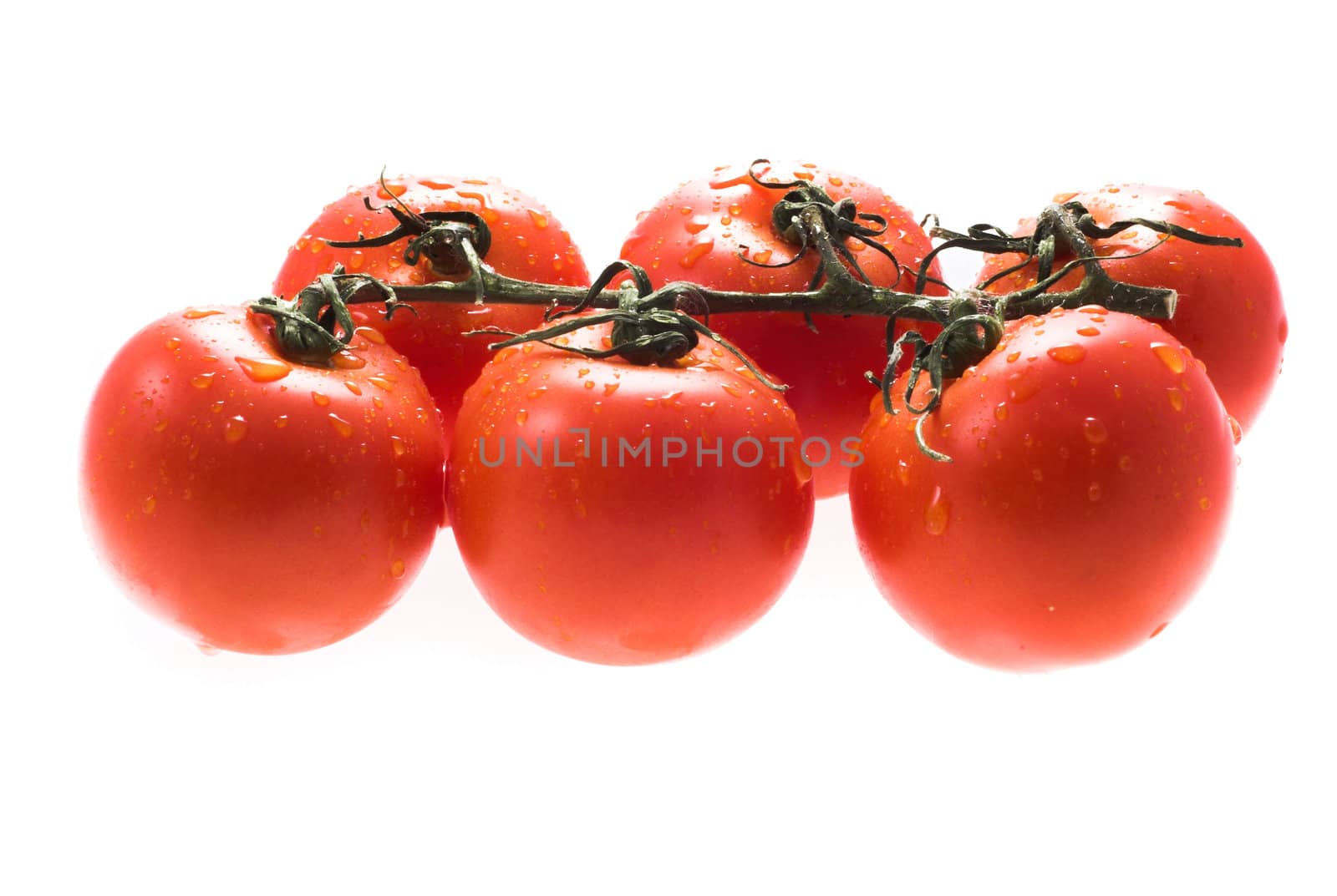 tomatos by Lukrecja