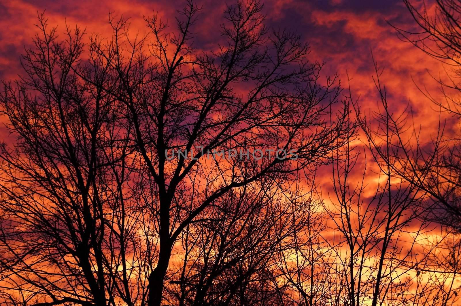 Morning Sunrise Silhouette by jdebordphoto