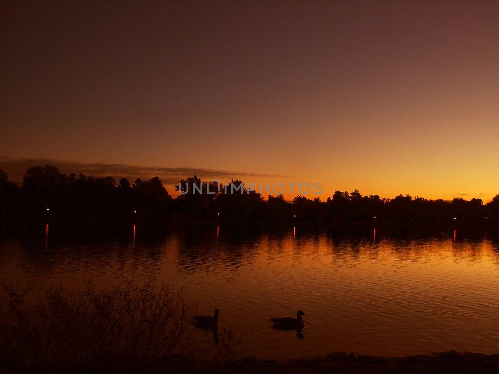 Orange Sunrise with ducks on a lake by jdebordphoto