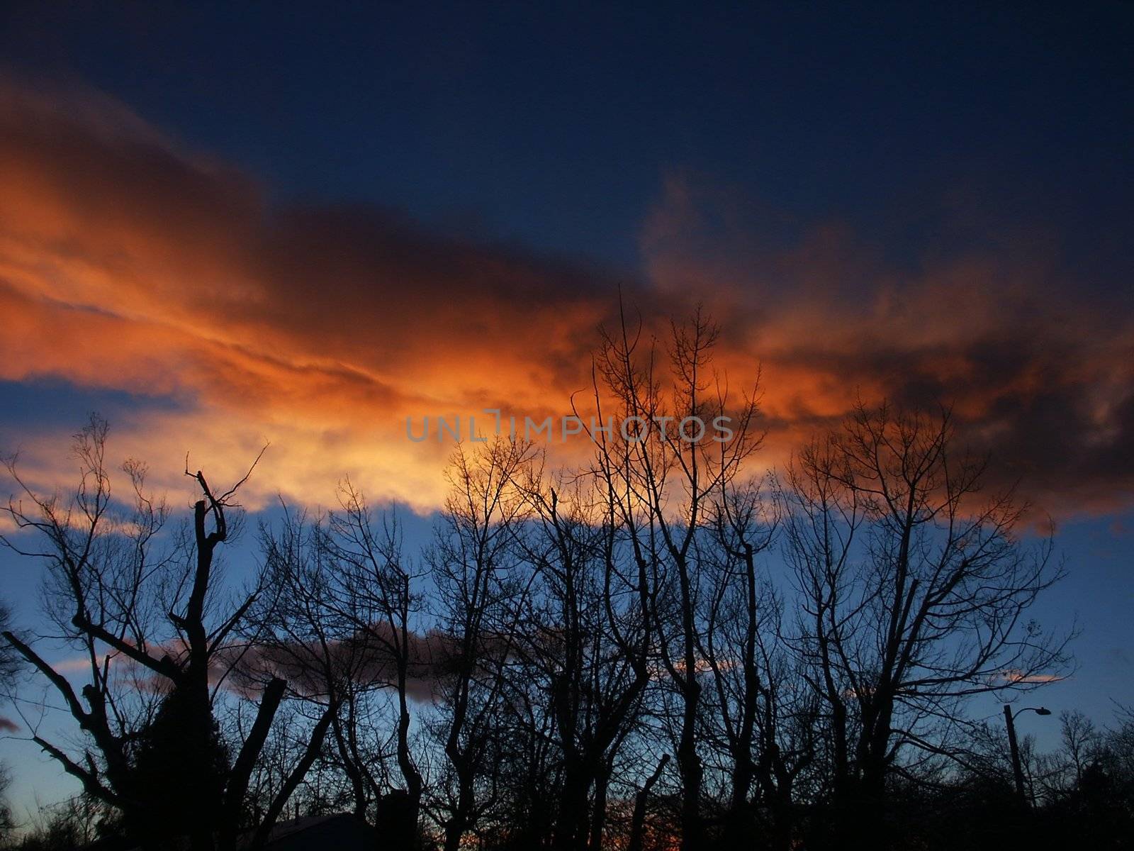 Orange and Blue Sunset With Trees by jdebordphoto