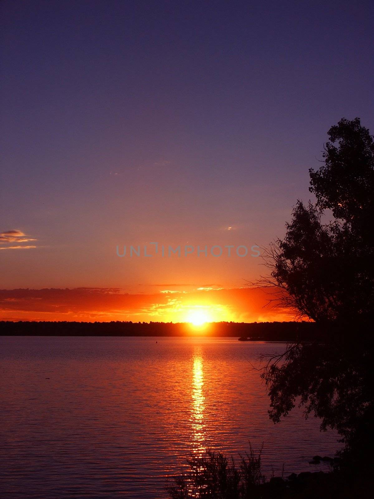 Sunrise with trees on a lake by jdebordphoto
