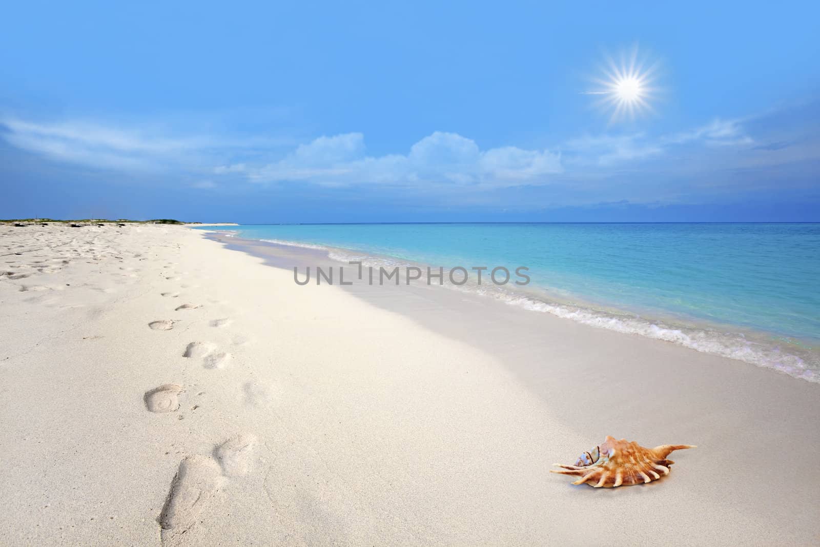 Footsteps and seashell in the white sand at Boca Grandi beach, Aruba