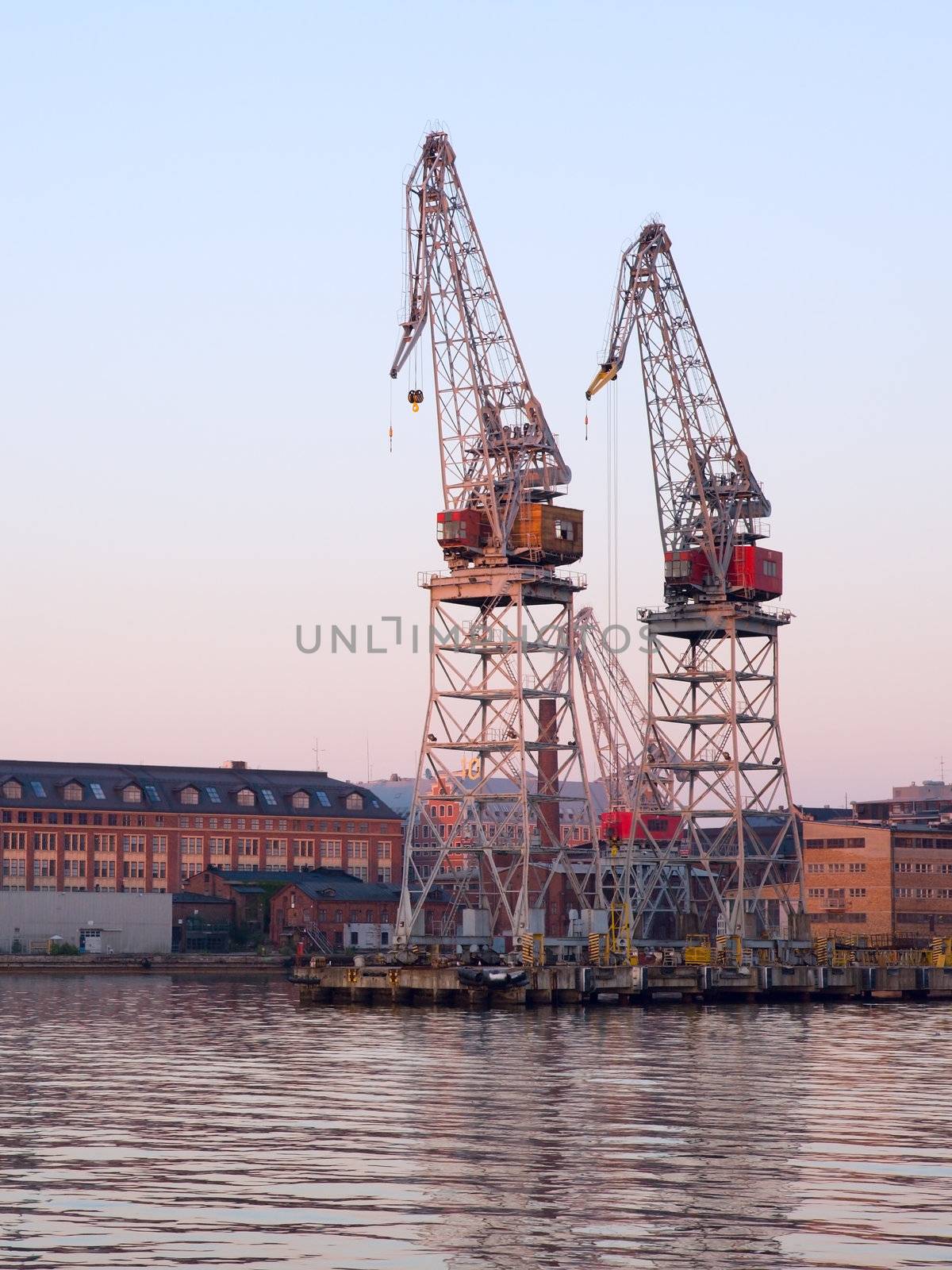 Cranes in Harbor by Luminis