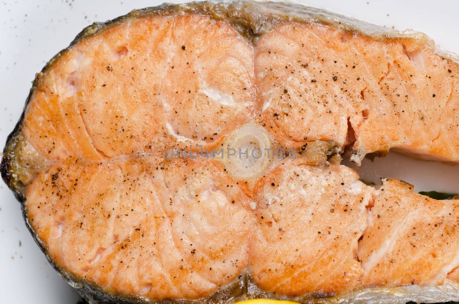 Closeup photo of grilled salmon fish - tasty dish