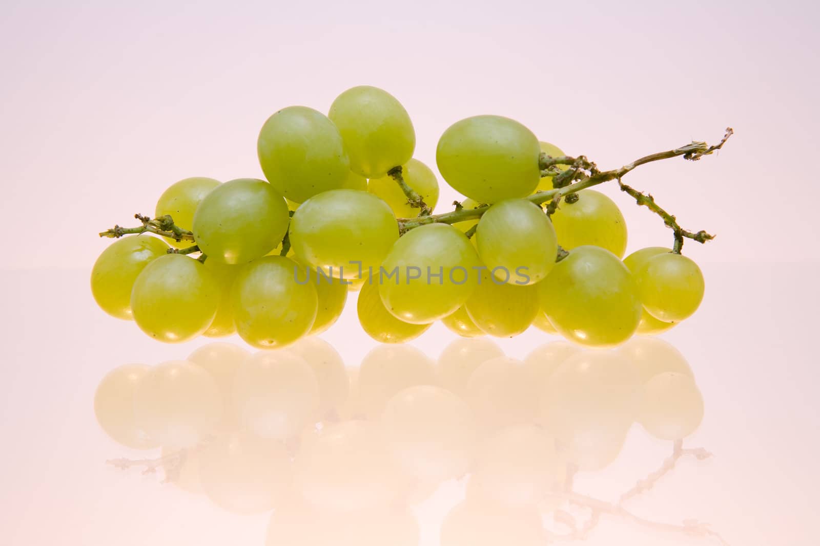 Cluster of green grapes