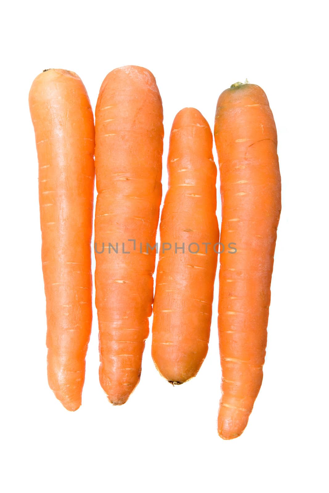 Four carrots on a white background