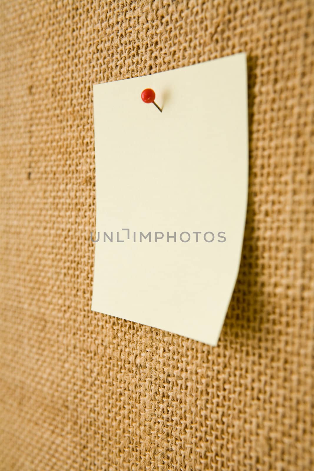 Blank note on a bulletin board