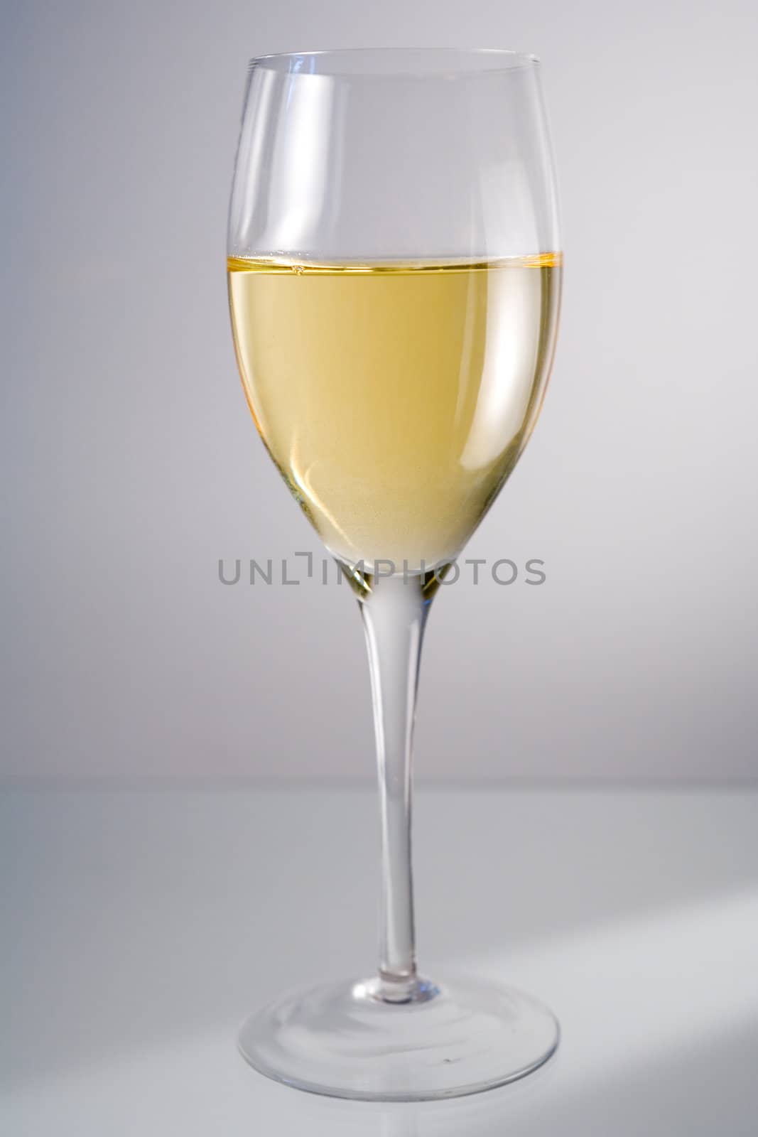 White wine in wine glass