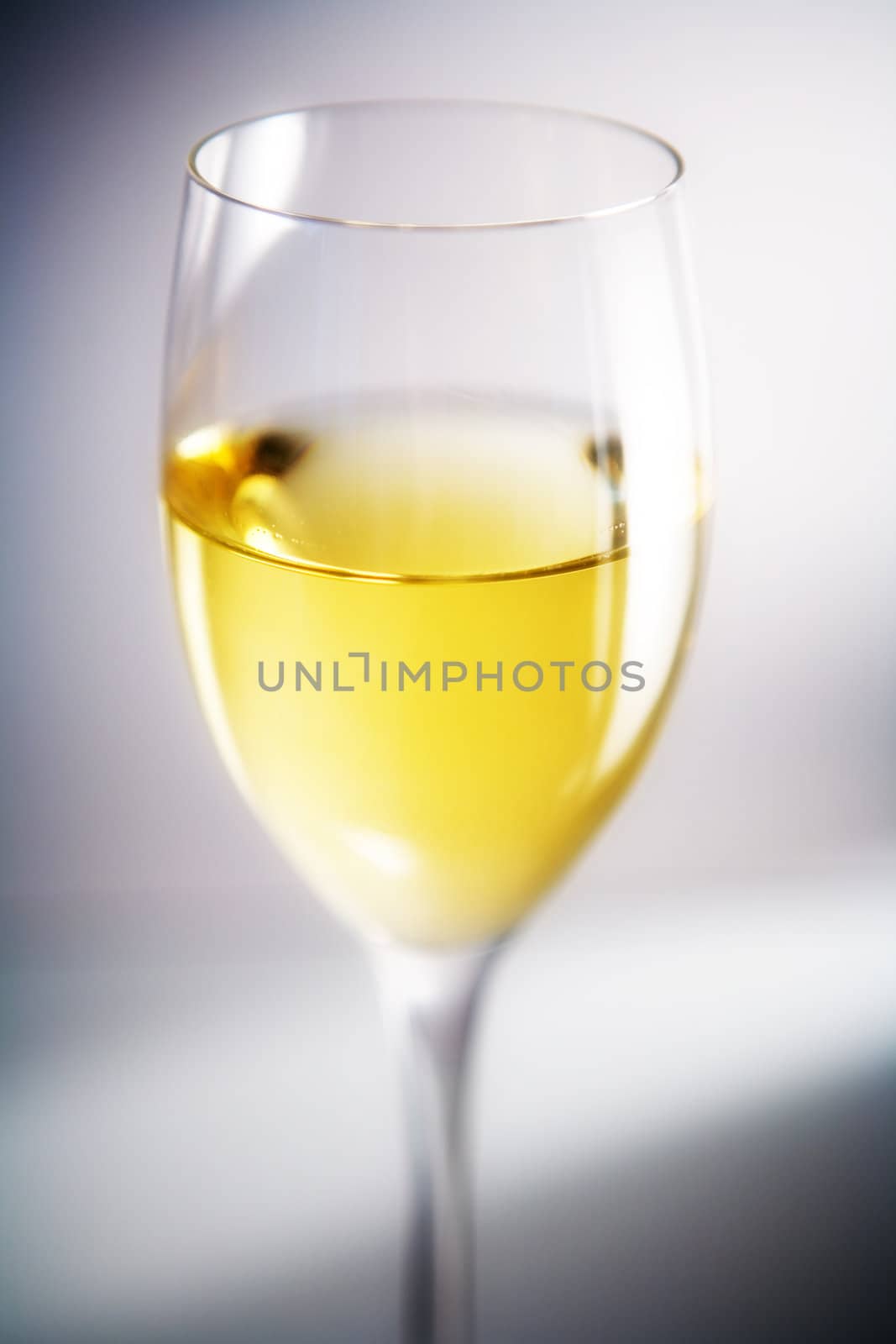 White wine in wine glass