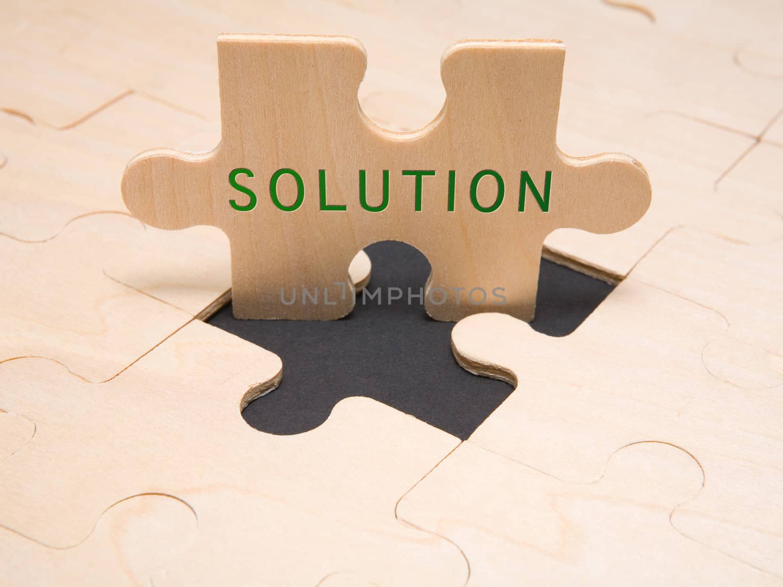 Text 'Solution' in a puzzle piece