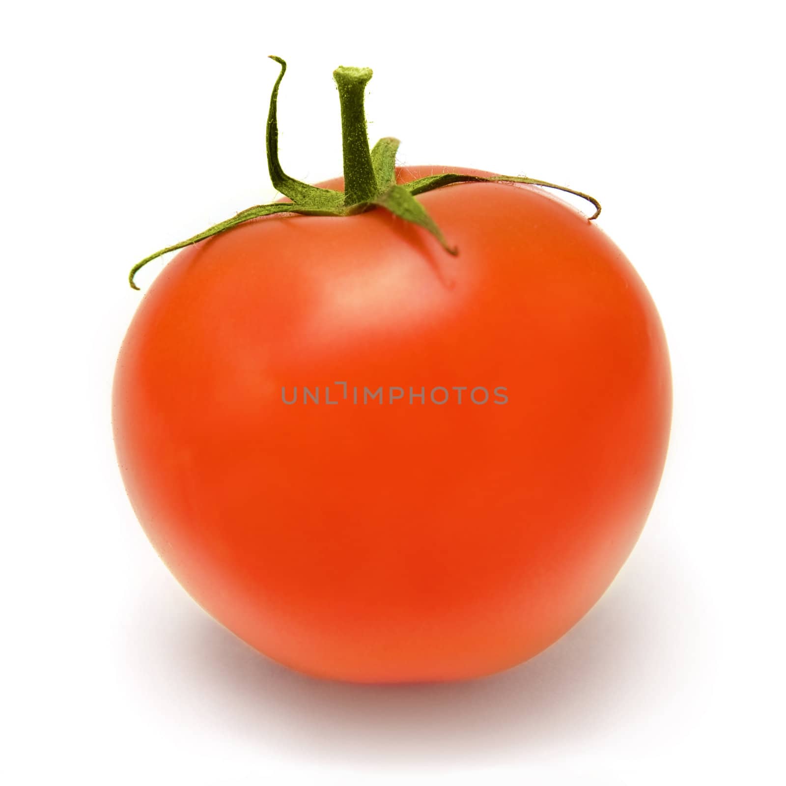 Red tomato on a white background