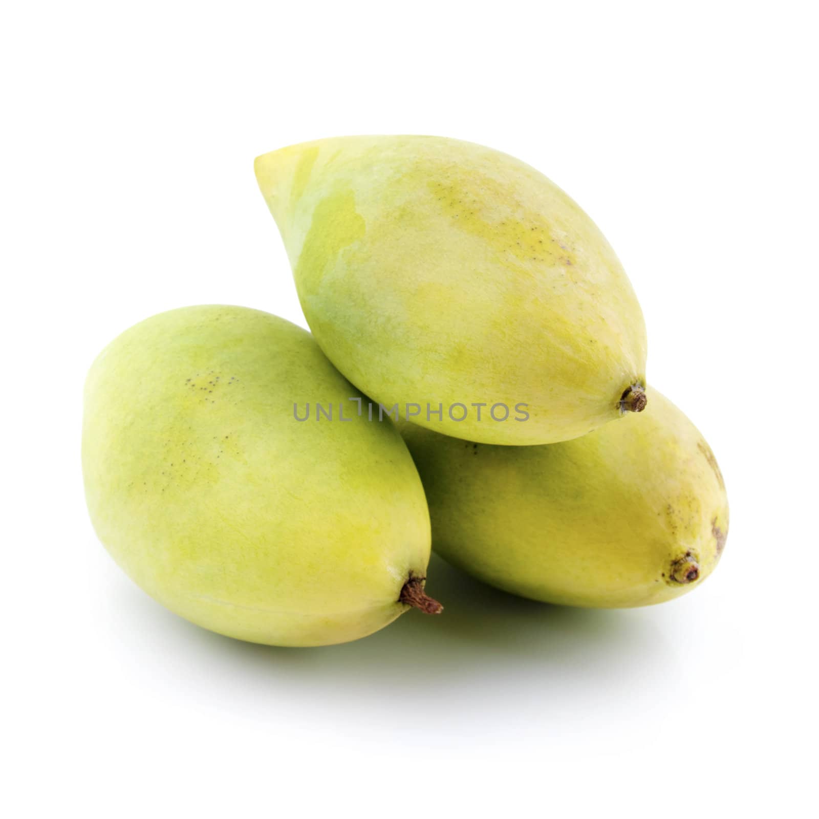 Three mangoes on white background
