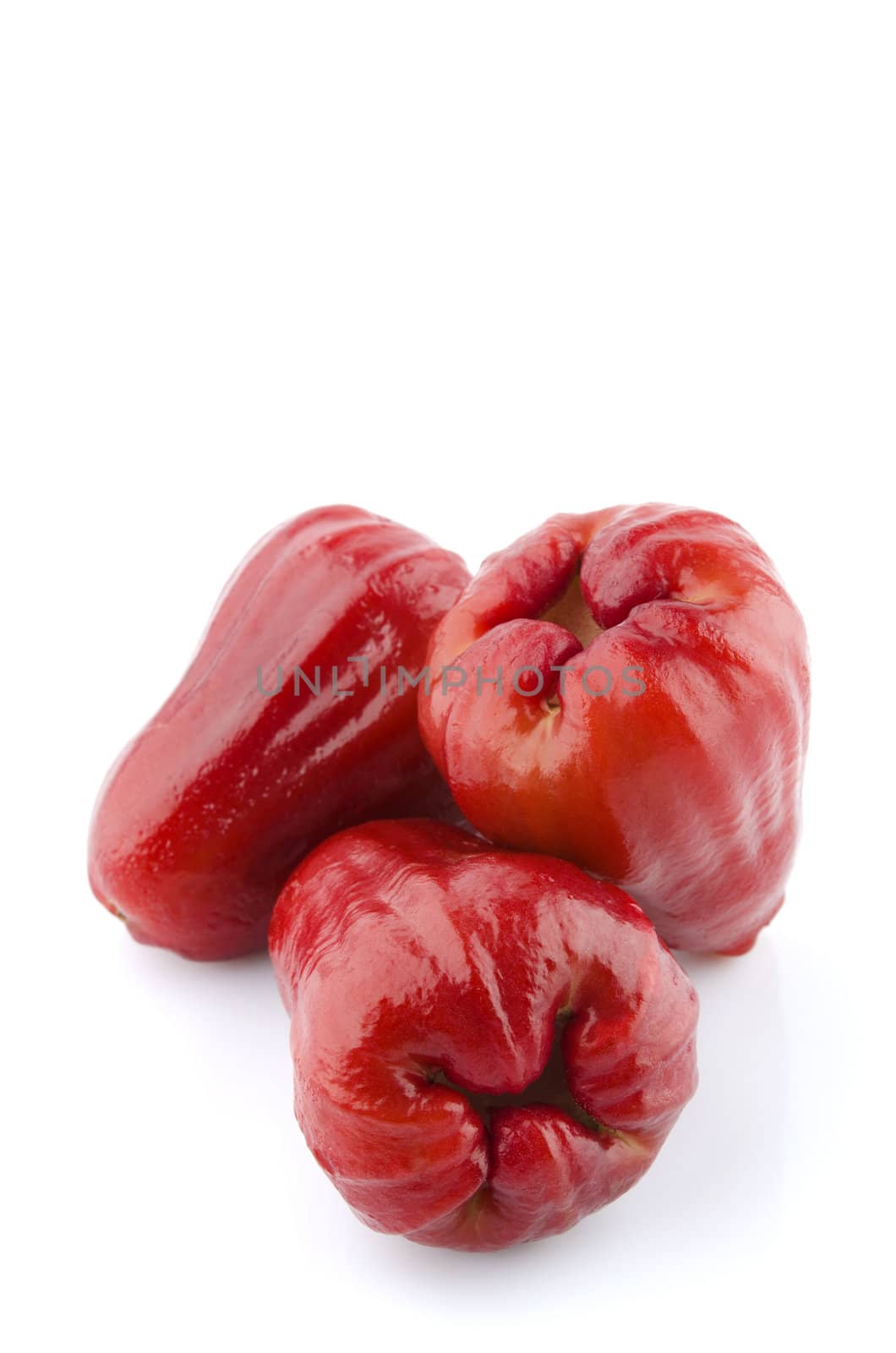 Thai Fruit the Rose apples or chomphu on white background
