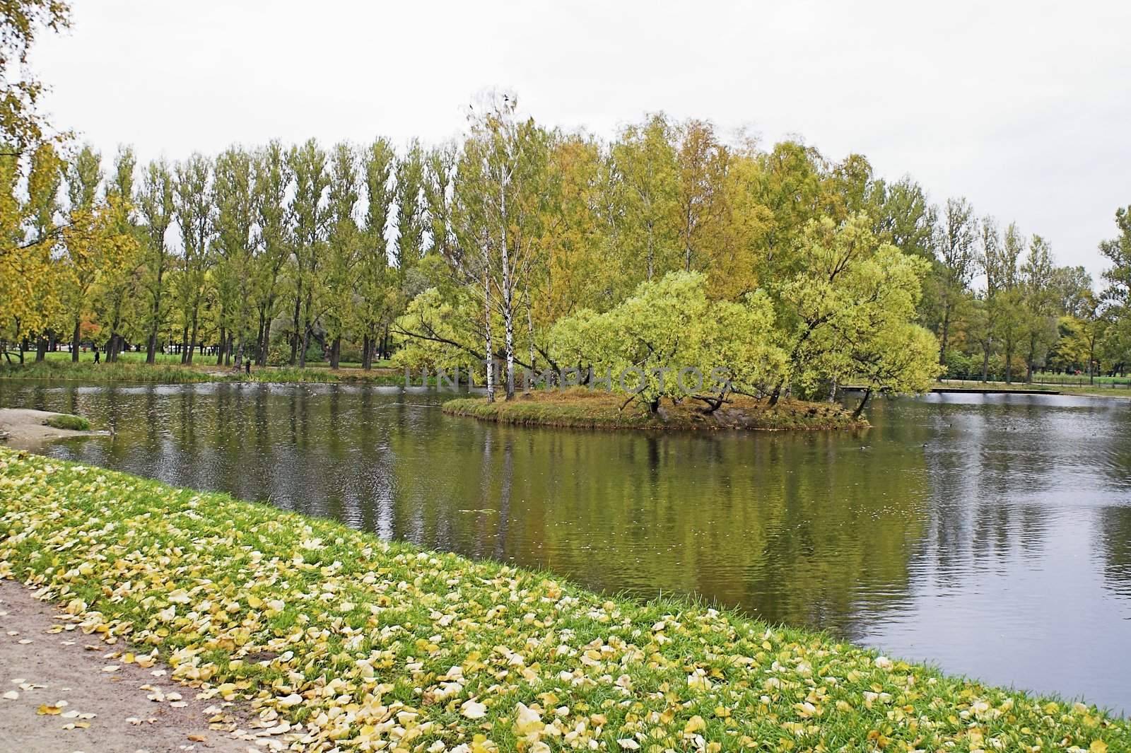 lake in an autumn park by simfan