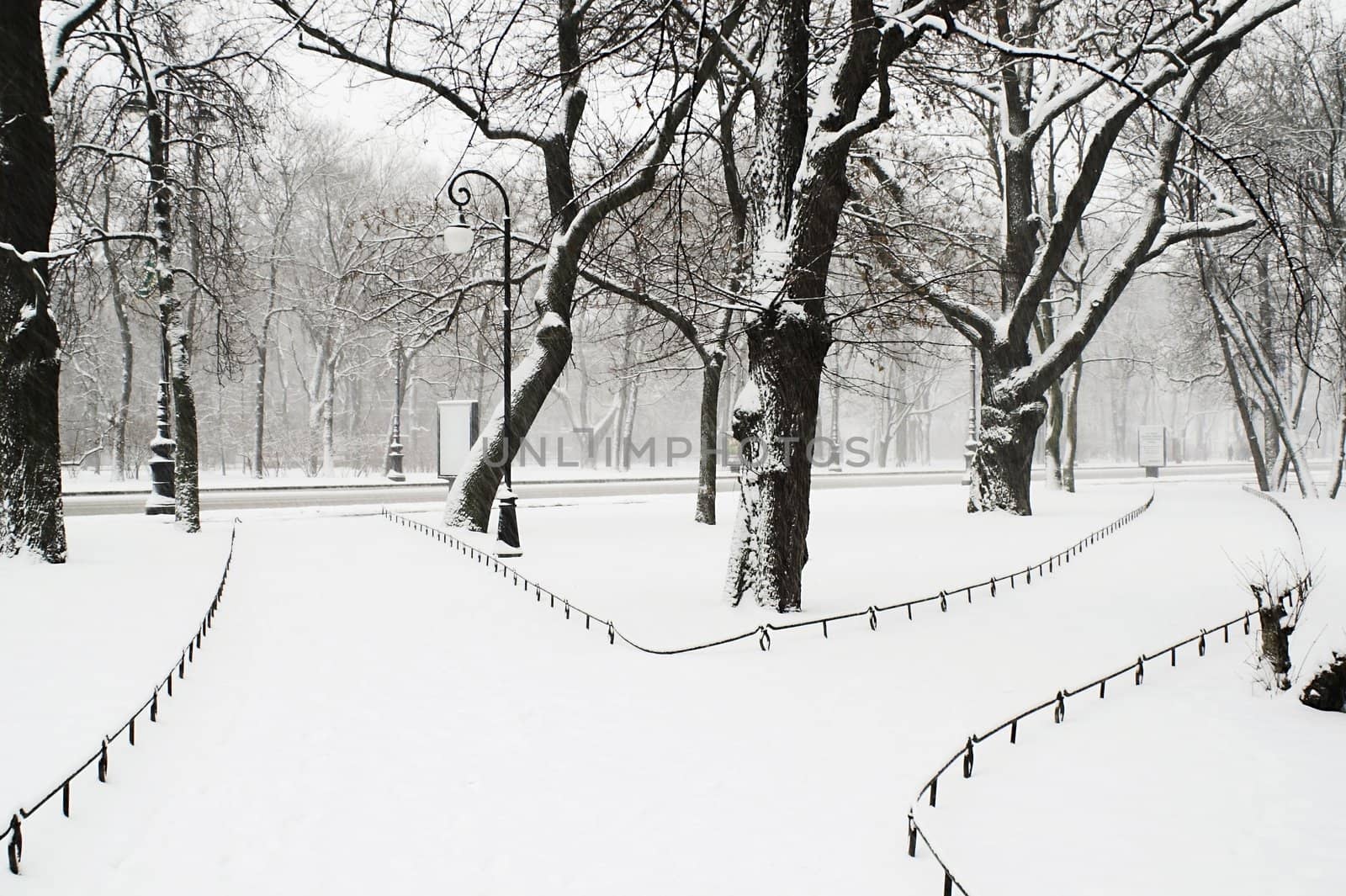 Alexandriyski park at snowfall in Saint Petersburg, Russia.
