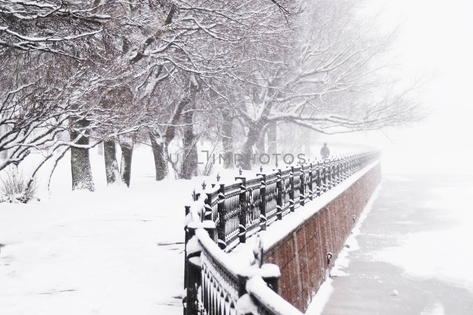 The Kronverk embankment at snowfall in Saint Petersburg, Russia.