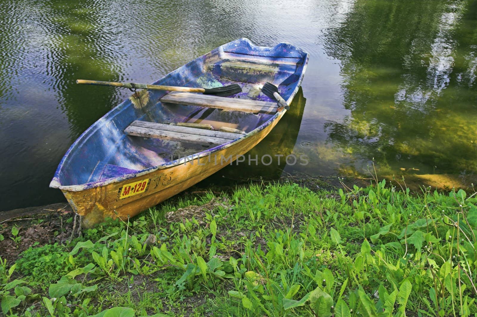 Boat at lake shore in summer park in Saint Petersburg, Russia