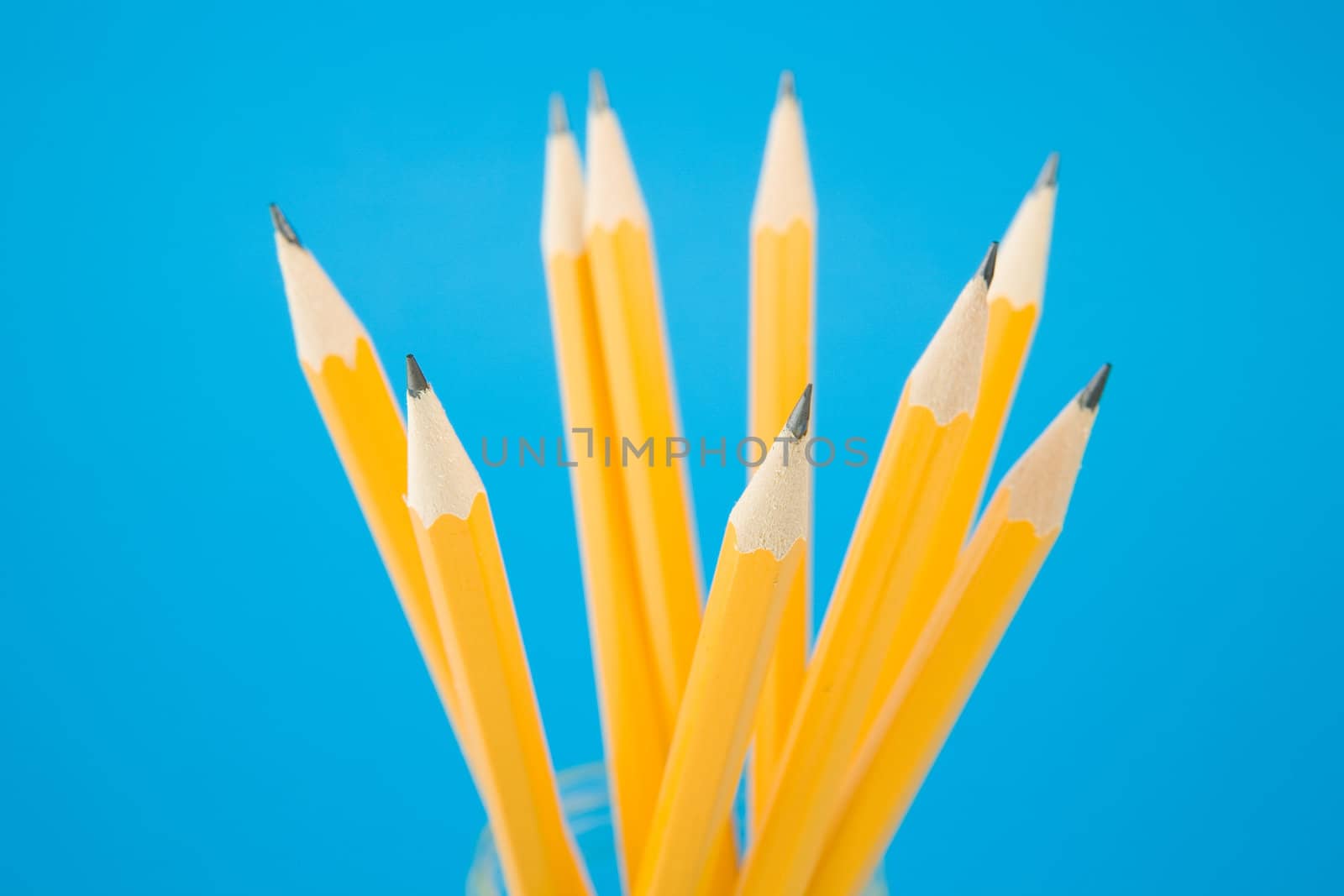 Yellow pencils on blue background