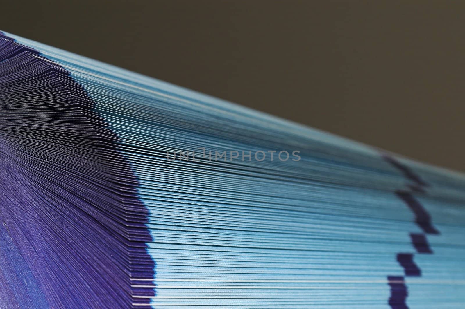 The cutting face of a phone directory with fanned pages.
