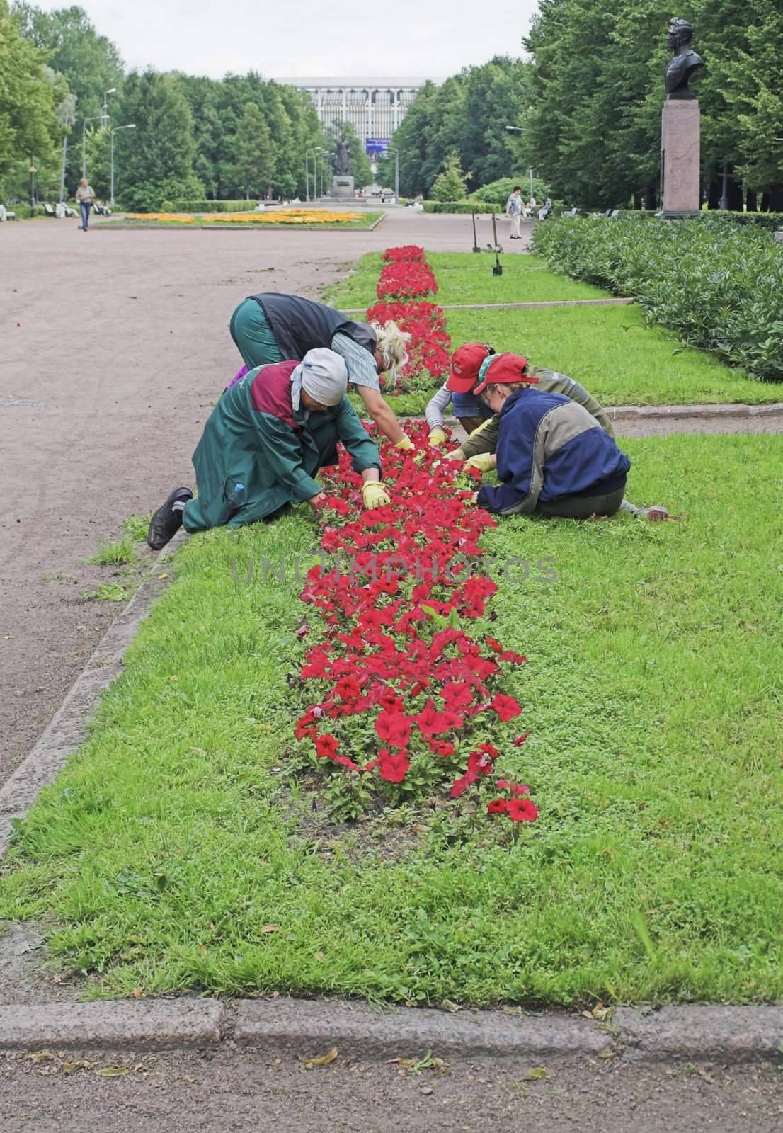 Women Doing Gardening in City Park