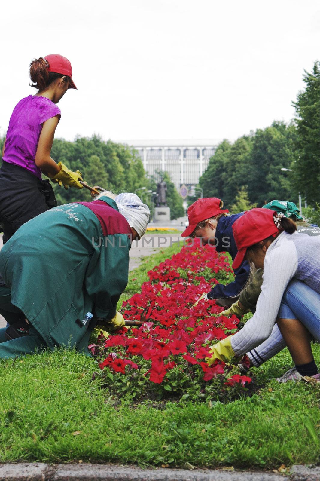 Girls Doing Gardening in City Park